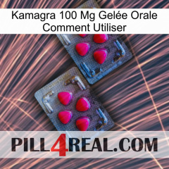 Kamagra 100 Mg Gelée Orale Comment Utiliser 14